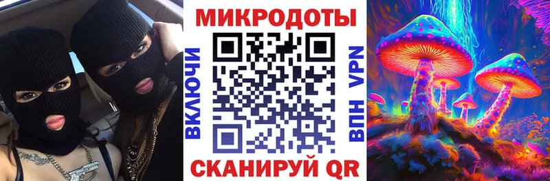 Псилоцибиновые грибы Cubensis  Топки 